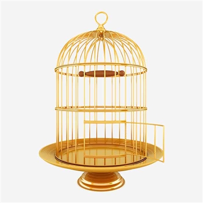 Bird Gold Cage