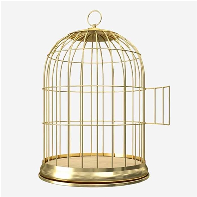 Bird Gold Cage