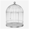 Bird Silver Cage