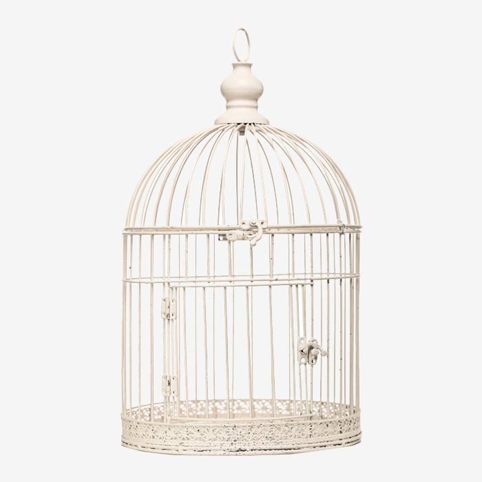 Bird White Cage
