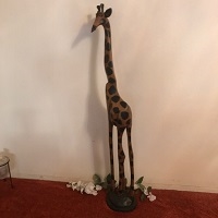 Big Giraffe with spots