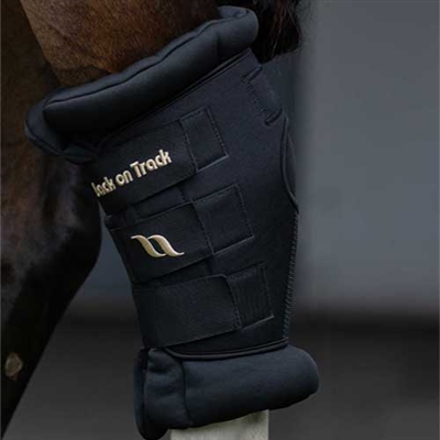 Best Discount Price On Back On Track Therapeutic Padded Royal Hock Boots