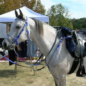 Biothane Bridle, Reins & Breast Collar Set for Sale!