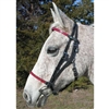 Beta Biothane Deluxe Add On Headstall & Halter Combo for Sale!