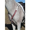 Padded Breast Collar with Overlay Color for Sale