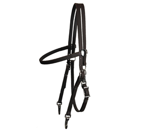 Quick Change Training Bridle for sale!