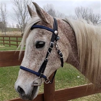 Newly Designed Trail Bridle - 1 Piece Nose Band