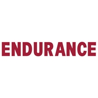 Endurance Reflective Sticker for Sale!