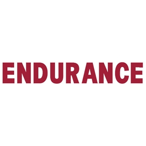 Endurance Reflective Sticker for Sale!