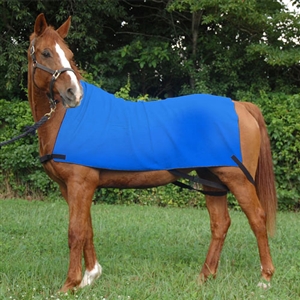 Equi Cool Down Equine Body Wraps for Sale!