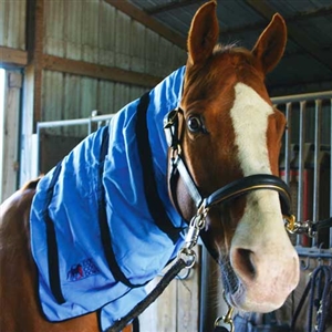 Equi Cool Down Equine Neck Wraps for Sale!
