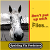 Spalding Fly Predators for Sale