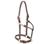 3/4" Double Buckle Halter for sale!