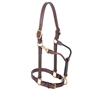 1" Leather Track Horse Halter for sale!