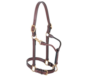 1" Leather Track Horse Halter for sale!