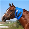 Superior Throat Latch Sweat Help show off your horses perfect throat latch with the superior throat latch sweat from Dura-Tech. Designed from a super stretchy, lightweight neoprene to conform to the throat latch area and is safe for overnight use.