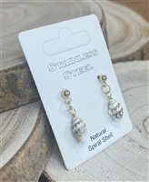 Cowrie shell earrings