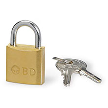 BD Security Lock, 12/case. MFID: 305494