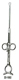 MILTEX EVE Tonsil Snare, 11" (27.9 cm), with ratchet. MFID: 22-1002