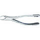 MILTEX 150 Extracting Forceps, Upper Anteriors. MFID: DEF150