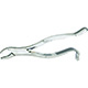 MILTEX 24 Extracting Forceps, Upper Molars. MFID: DEF24