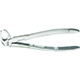 MILTEX 33 Extracting Forceps, English pattern. MFID: DEF33