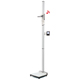 SECA 284 Wireless measuring station for height and weight (660 lbs). MFID: 2841300109