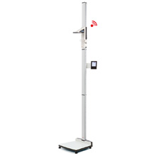Detecto solo 550 Pound Digital Clinical Scale with Height Rod