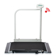 SECA 676 Wireless Wheelchair Scale with Hand Rail and Transport Casters (800 lbs). MFID: 6761321108