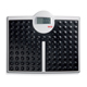 SECA 813 High Capacity Electronic Flat Floor Scale (440 lbs). MFID: 8131321009