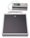 SECA 869 Electronic Flat Scale with Cable Remote Display (550 lbs). MFID: 8691321004