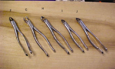 BB 188L 1st & 2nd Upper Molars; Left (H)