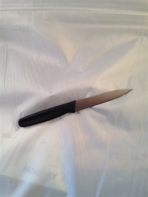 4" Paring Knife