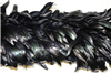 Luxury Black Rooster Feather Boa  Horizontal on a white background.