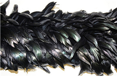 Luxury Black Rooster Feather Boa  Horizontal on a white background.