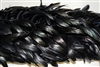 Premium Black Irridescents Coque Feather Boa on a white background.