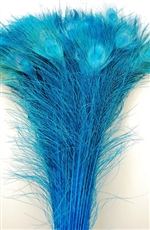 Peacock Tails: Bleached 30"-35"