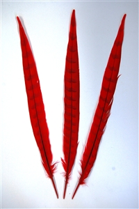 Bleached Pheasant Tails Dyed 18"-22"