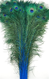 Peacock Tails: Dyed 35"-40"