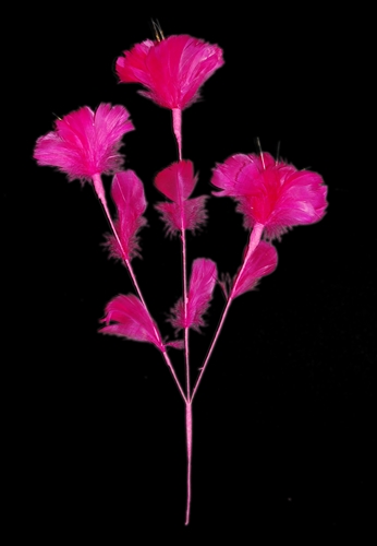 Feather Flower - Lantern Lily