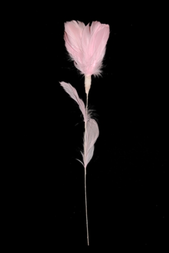 Feather Flower - Lantern Lily