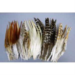 Hair Extensions - Mixed Feathers
