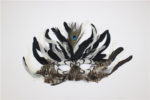 feather mask with peacock feather