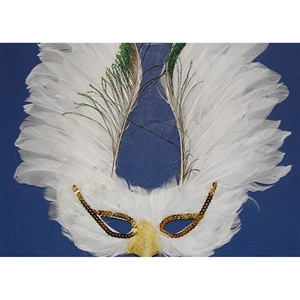 feather mask with peacock feather