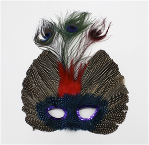 feather mask with peacock feather