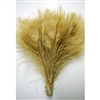 Peacock Tails 10"-12" Bleached