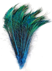 Peacock Swords Dyed Color 10-15"