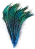 Peacock Swords Dyed Color 15-20"