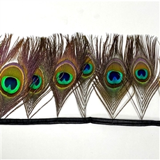 Peacock Fringe