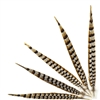 Reeves Pheasant Tails 55"-60''